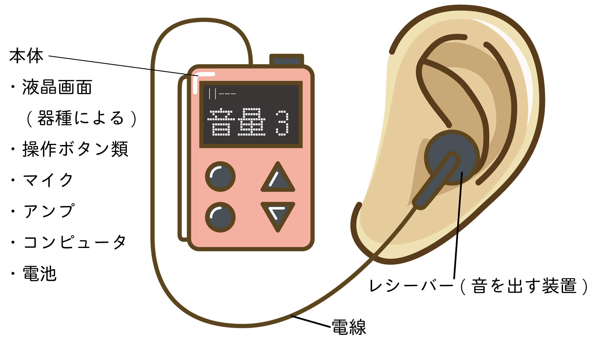 補聴器 と 集 音 器 の 違い は